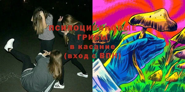 гидра Балахна