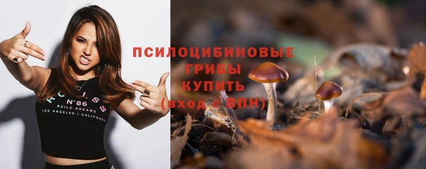 спиды Саяногорск